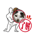 猫のスタンプ追加バージョン（個別スタンプ：31）