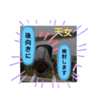 オギオギファミリー日常スタンプだよ～！（個別スタンプ：6）