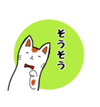 招き猫色々（個別スタンプ：6）