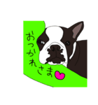 ボストンてりおくんのスタンプ（個別スタンプ：2）