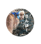 くりぎんスタンプ2（個別スタンプ：11）