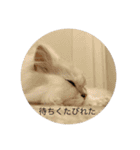 くりぎんスタンプ2（個別スタンプ：15）