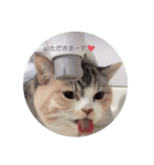 おみず大好き猫のふーちゃん（個別スタンプ：1）