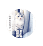 おみず大好き猫のふーちゃん（個別スタンプ：2）