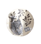 おみず大好き猫のふーちゃん（個別スタンプ：3）