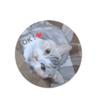 おみず大好き猫のふーちゃん（個別スタンプ：4）