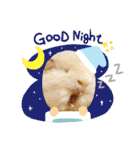 モルモットとうさぎとかめ（個別スタンプ：2）