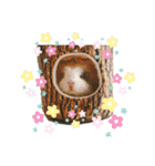 モルモットとうさぎとかめ（個別スタンプ：20）