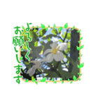 アロハな毎日（個別スタンプ：7）