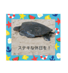 アロハな毎日（個別スタンプ：8）