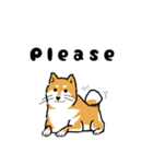 Shibainuuuuu！（個別スタンプ：4）