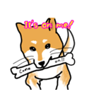 Shibainuuuuu！（個別スタンプ：9）