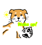 Shibainuuuuu！（個別スタンプ：13）