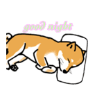 Shibainuuuuu！（個別スタンプ：14）