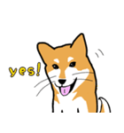 Shibainuuuuu！（個別スタンプ：19）