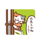 三毛猫おばちゃんの新潟弁スタンプ 新潟県（個別スタンプ：2）