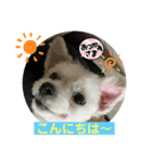 めりる20220724（個別スタンプ：2）