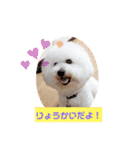 モコモコビションフリーゼのサランとポエム（個別スタンプ：3）