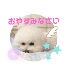 モコモコビションフリーゼのサランとポエム（個別スタンプ：6）
