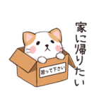 ココねこの怠惰な生活(日本語版)（個別スタンプ：19）