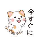 ココねこの怠惰な生活(日本語版)（個別スタンプ：27）