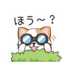 ココねこの怠惰な生活(日本語版)（個別スタンプ：32）