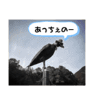 シカの皮をかぶったハンター 新潟弁 新潟県（個別スタンプ：1）