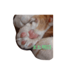 ワクだよ、タビーウララも（個別スタンプ：3）