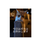 ワクだよ、タビーウララも（個別スタンプ：6）