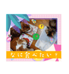 ねこねここころ 3（個別スタンプ：34）