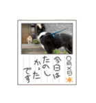 えり太セレクション2（個別スタンプ：1）