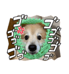 えり太セレクション2（個別スタンプ：6）