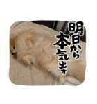 えり太セレクション2（個別スタンプ：7）