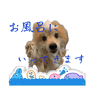 えり太セレクション2（個別スタンプ：8）