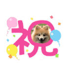 えり太セレクション2（個別スタンプ：10）