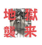 えり太セレクション2（個別スタンプ：23）