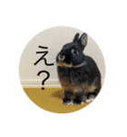 カヌレとぴーす（個別スタンプ：1）