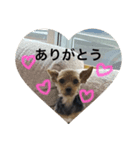 カヌレとぴーす（個別スタンプ：2）