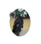カヌレとぴーす（個別スタンプ：3）