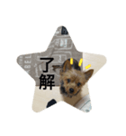 カヌレとぴーす（個別スタンプ：4）
