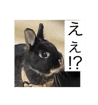 カヌレとぴーす（個別スタンプ：5）