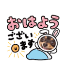 Kojiromaru＆Jubee5（個別スタンプ：1）