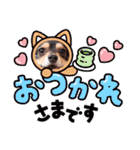 Kojiromaru＆Jubee5（個別スタンプ：2）