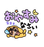 Kojiromaru＆Jubee5（個別スタンプ：4）
