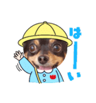 Kojiromaru＆Jubee5（個別スタンプ：9）