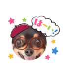Kojiromaru＆Jubee5（個別スタンプ：10）