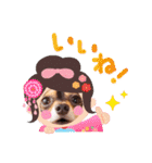 Kojiromaru＆Jubee5（個別スタンプ：12）