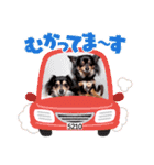 Kojiromaru＆Jubee5（個別スタンプ：19）