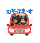 Kojiromaru＆Jubee5（個別スタンプ：20）