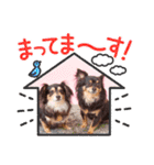 Kojiromaru＆Jubee5（個別スタンプ：21）